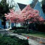 House from 1984
