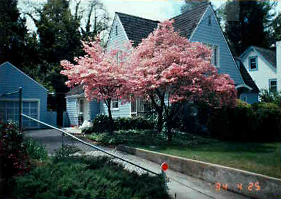 House from 1984